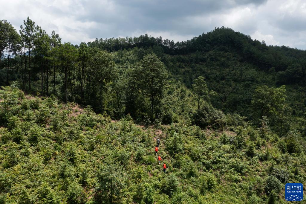 USDT����Ǯ��(�й��ٷ�)-USDTǮ��