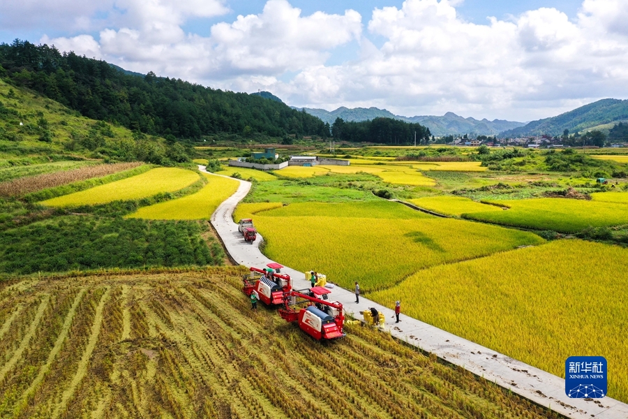 USDT����Ǯ��(�й��ٷ�)-USDTǮ��