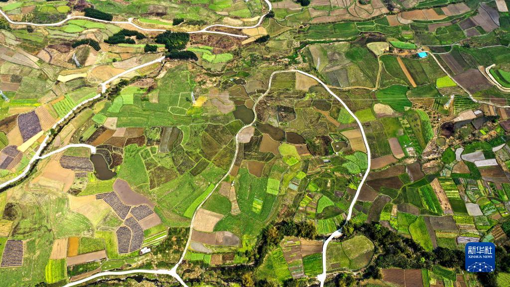 USDT����Ǯ��(�й��ٷ�)-USDTǮ��