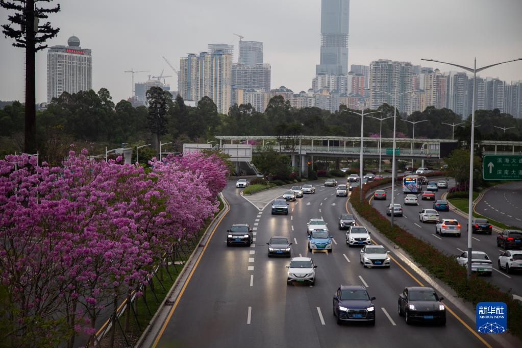 USDT����Ǯ��(�й��ٷ�)-USDTǮ��